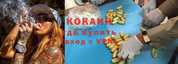 тгк Алзамай